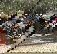 Gold Coast Mountain Bike Tour - Attractions