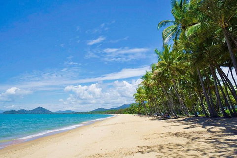 Airport Transfer - Cairns Airport To Palm Cove, Kewarra & Trinity Beaches - See Attractions 4