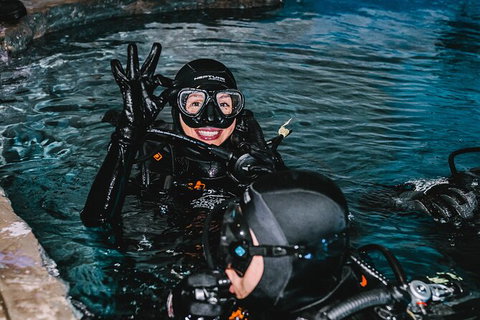 Cairns Aquarium Dive With The Sharks - Attractions 1