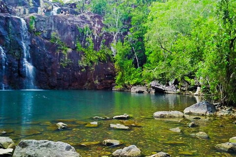 Rainforest To Reef Experience - Reef And Beyond Guided Holidays - Attractions 5