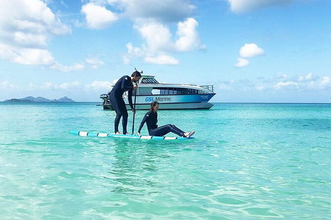 Rainforest To Reef Experience - Reef And Beyond Guided Holidays - Attractions 3