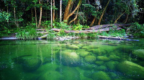 Cairns Adventure Package- 4 Tours In 3 Days! - Attractions 6