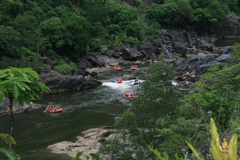 Cairns Adventure Package- 4 Tours In 3 Days! - Attractions 3