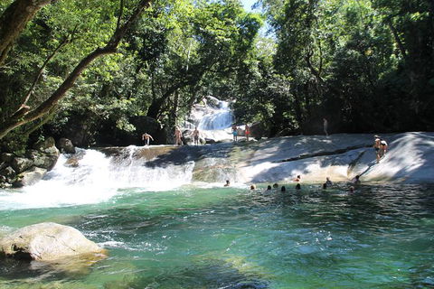 Cairns Adventure Package- 4 Tours In 3 Days! - Attractions 7