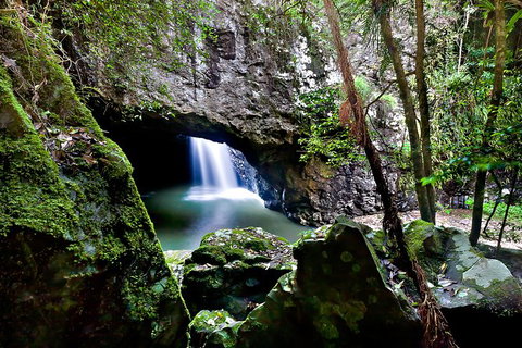 Natural Bridge, Springbrook & Gold Coast Tour - Attractions 6