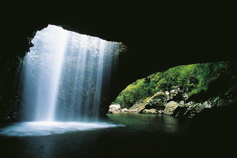 Natural Bridge, Springbrook & Gold Coast Tour - Attractions 0