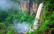 Natural Bridge, Springbrook & Gold Coast Tour - thumb 5