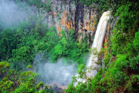 Natural Bridge, Springbrook & Gold Coast Tour - Attractions 5