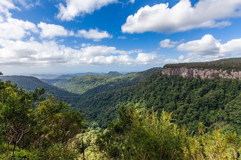 Natural Bridge, Springbrook & Gold Coast Tour - Attractions 1