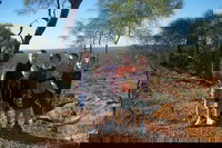 3-Day Family Outback Explorer Tour of Cunnamulla