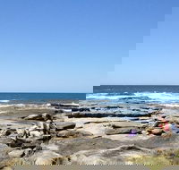 Sunshine Coast Rocky Shore Educational Eco Tour - Attractions