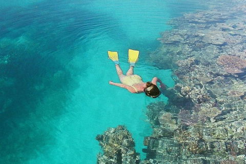 Great Barrier Reef Private Expedition Cruise (min 4 Day Max 8 Guests) - Attractions 6