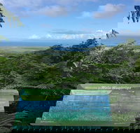 Daintree Luxury Limousine Tour - Full Day - Attractions