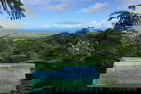 Daintree Luxury Limousine Tour - Full Day