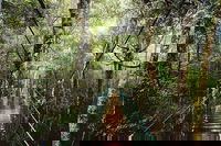 O'Reilly's  Lamington National Park from Gold Coast