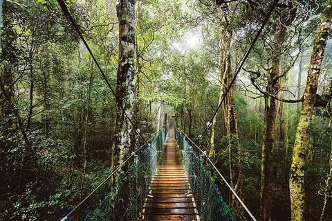O\'Reilly\'s & Lamington National Park From Gold Coast - Attractions 0