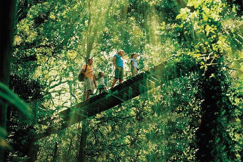 O\'Reilly\'s & Lamington National Park From Gold Coast - Attractions 1