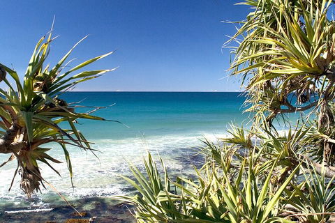 Gold Coast City Sights Tour From Gold Coast - Attractions 1