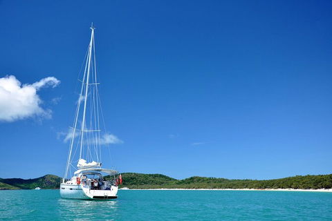 Sailing Curlew Escape On Moreton Bay - Attractions 0