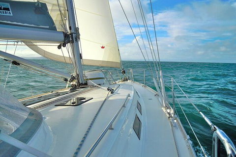 Sailing Curlew Escape On Moreton Bay - Attractions 7