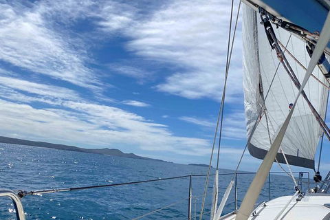 Sailing Curlew Escape On Moreton Bay - Attractions 17
