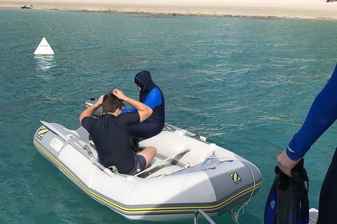 Sailing Curlew Escape On Moreton Bay - Attractions 16
