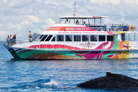 Half-Day Whale Watching In Urangan - Attractions 1