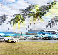 Private Transfers - Cairns Airport to Palm Cove - Attractions