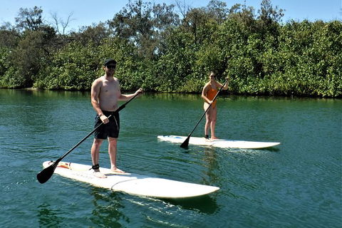 Paddle Board Hire In Surfers Paradise - Attractions Las Vegas 2