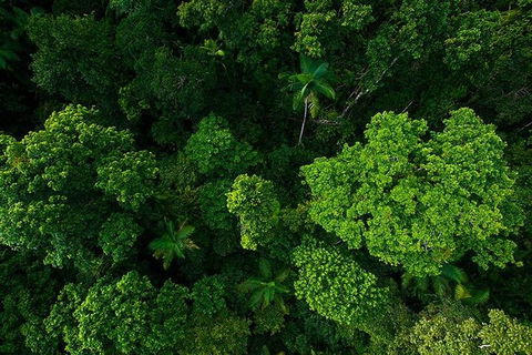 Cairns & Port Douglas All-Inclusive 7 Days Touring Package - Attractions 3