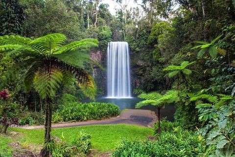 Cairns & Port Douglas All-Inclusive 7 Days Touring Package - Attractions 5