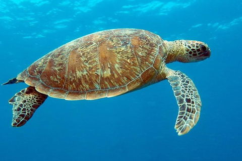 Cairns & Port Douglas All-Inclusive 7 Days Touring Package - Attractions 1