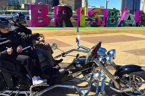 Unique Vehicle Tour Around Brisbane - Attractions 3