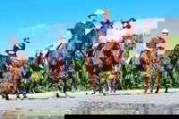 Mid-Morning Beach Horse Ride in Cape Tribulation with Pick Up