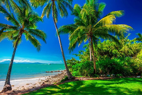 SHUTTLE - Port Douglas And Craiglie Return Transfer - Attractions 2