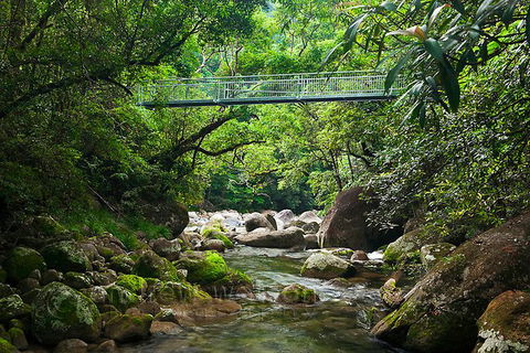 SHUTTLE - Mossman Gorge & Cooya Beach From Port Douglas (Return Transfer) - Attractions 4