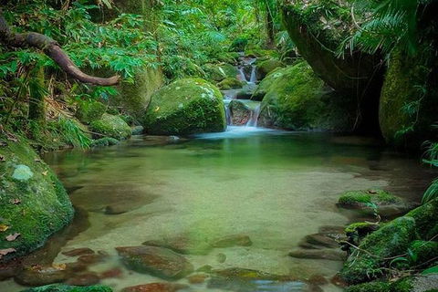 SHUTTLE - Mossman Gorge & Cooya Beach From Port Douglas (Return Transfer) - Attractions 2