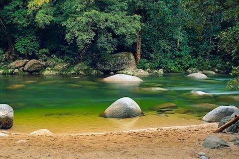 SHUTTLE - Mossman Gorge & Cooya Beach From Port Douglas (Return Transfer) - Attractions 1