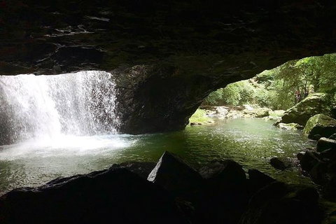 Springbrook Full Day Tour - Attractions 5