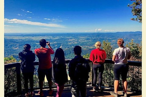 Springbrook Full Day Tour - Attractions 3