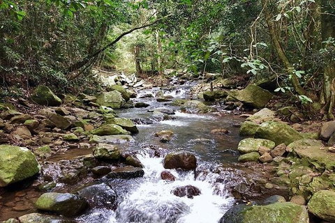 Springbrook Full Day Tour - Attractions 4