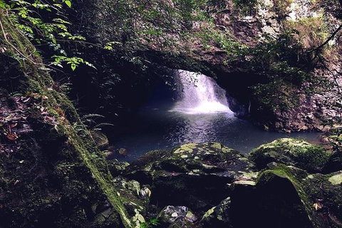 Springbrook Full Day Tour - Attractions 2