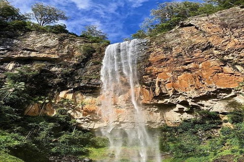 Springbrook Full Day Tour - Attractions 1