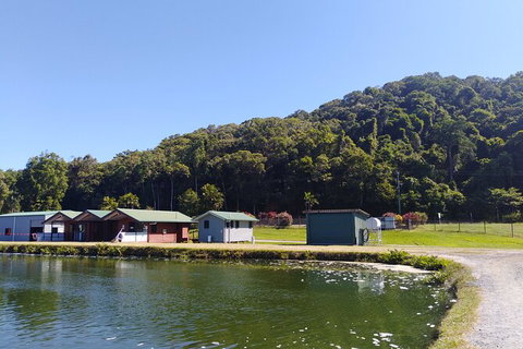 Small-Group Fishing At Barramundi Farm And A Visit To Port Douglas - Attractions 4