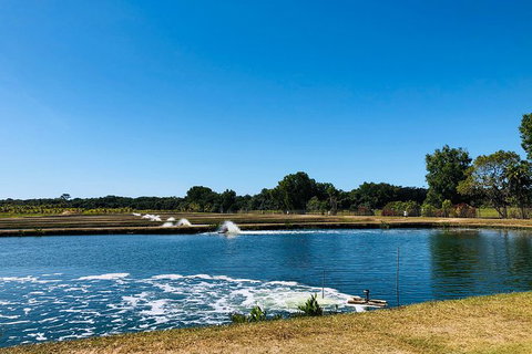 Small-Group Fishing At Barramundi Farm And A Visit To Port Douglas - Attractions 5