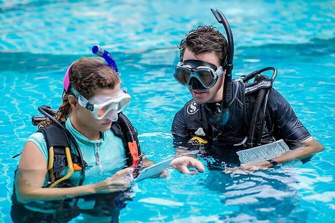 PADI Diving Courses On The Gold Coast - Attractions 0
