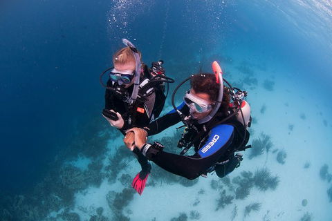 PADI Diving Courses On The Gold Coast - Attractions 5