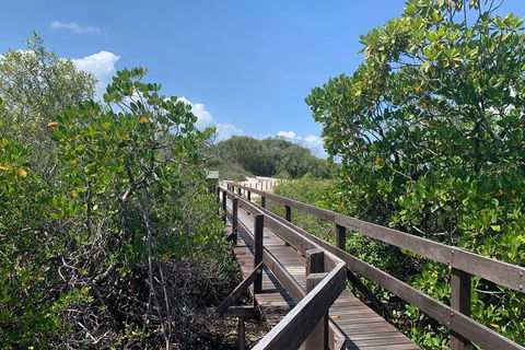 Hinchinbrook Island Tour - Attractions 4