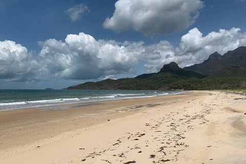 Hinchinbrook Island Tour - Attractions 3