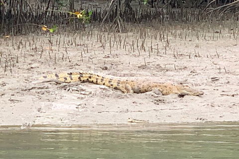 Hinchinbrook Island Tour - Attractions 2